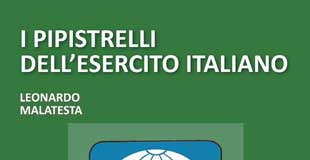 PIPISTRELLI 310